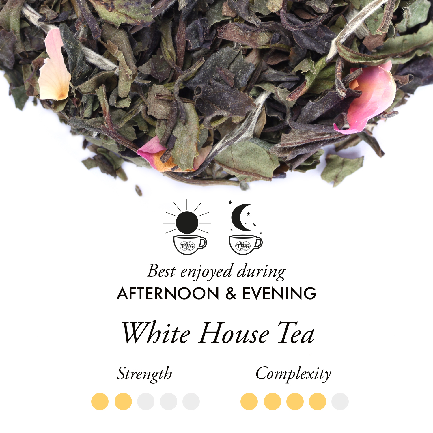 Trà TWG Tea - White House Tea (75g) | Trà Trắng