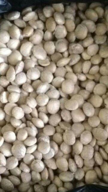 nhân sachi sấy chín 1kg