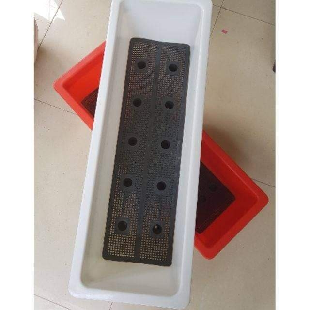 Combo 5 Chậu Thông Minh Dài 48cm Chậu Chữ Nhật