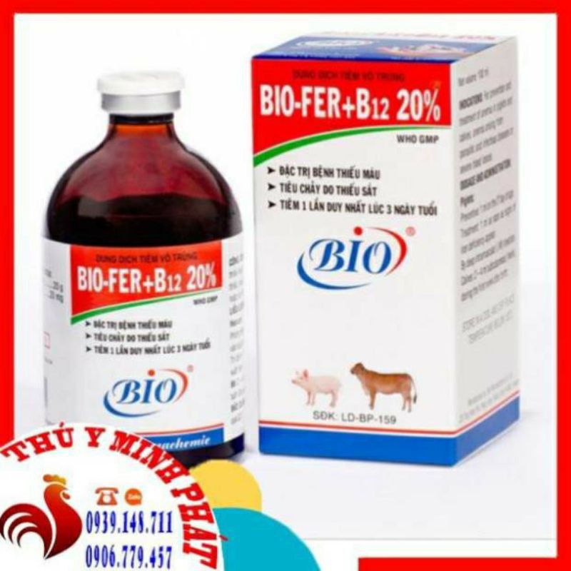 Bio fer b12 10% chai 100ml