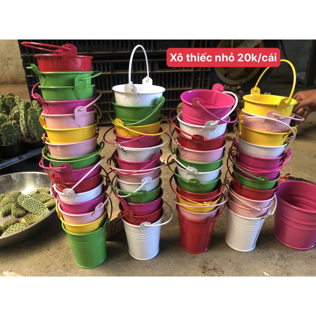 Xô thiếc nhỏ