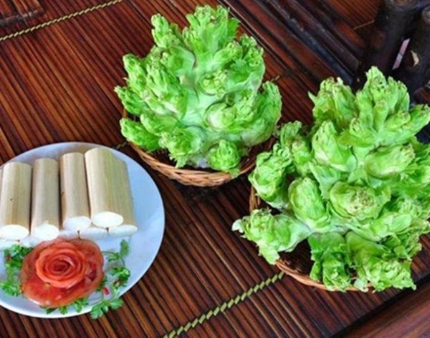 20 hạt Hạt giống rau cải mầm đá
