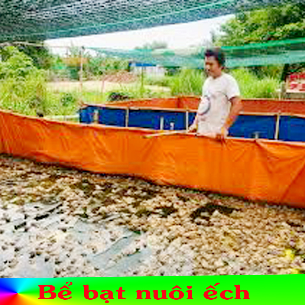 Bể bạt nuôi lươn ốc ếch cá kích thước 4m x 2m x 1m