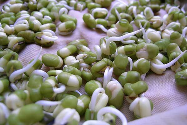 bột mầm đậu xanh 1kg