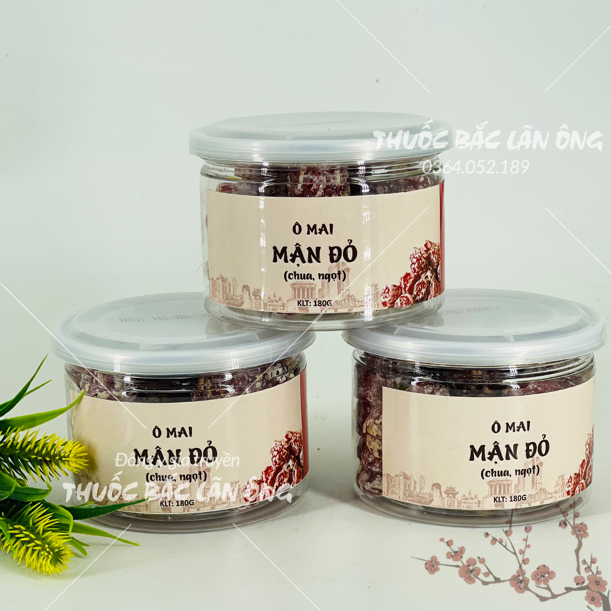 Sweet and Sour Red Plum Apricot (Plum Plum)