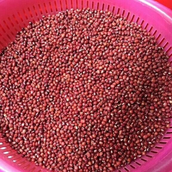 1kg hạt đỗ đỏ quê