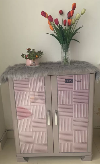 [HCM]Tủ giày dép cao cấp Duy Tân SUKI