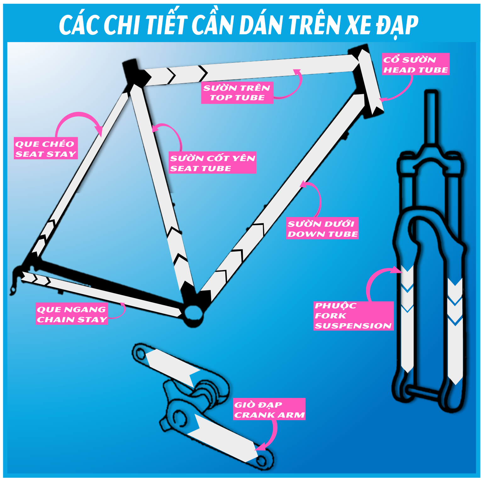 MIẾNG DÁN BẢO VỆ TRẦY XƯỚC XE ĐẠP GIANT ESCAPE 3 - CYCLEWRAP