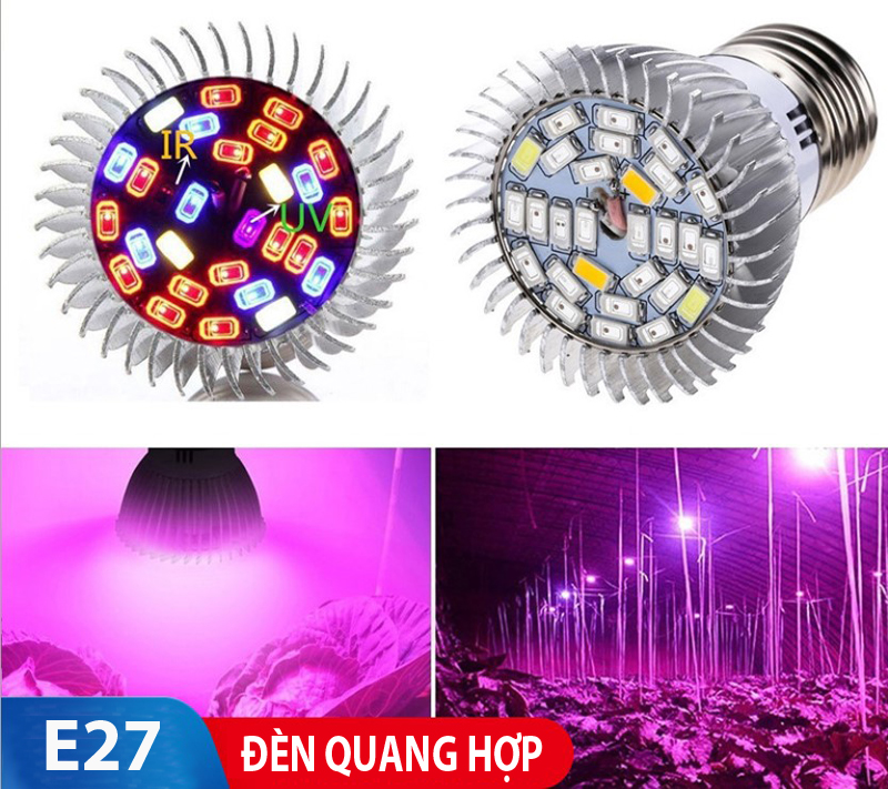 Đèn LED trồng cây - đèn quang hợp cho cây