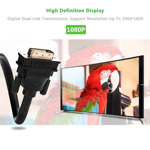 Cáp DVI 24+1 Ugreen 11604 (dài 2M) Chính Hãng