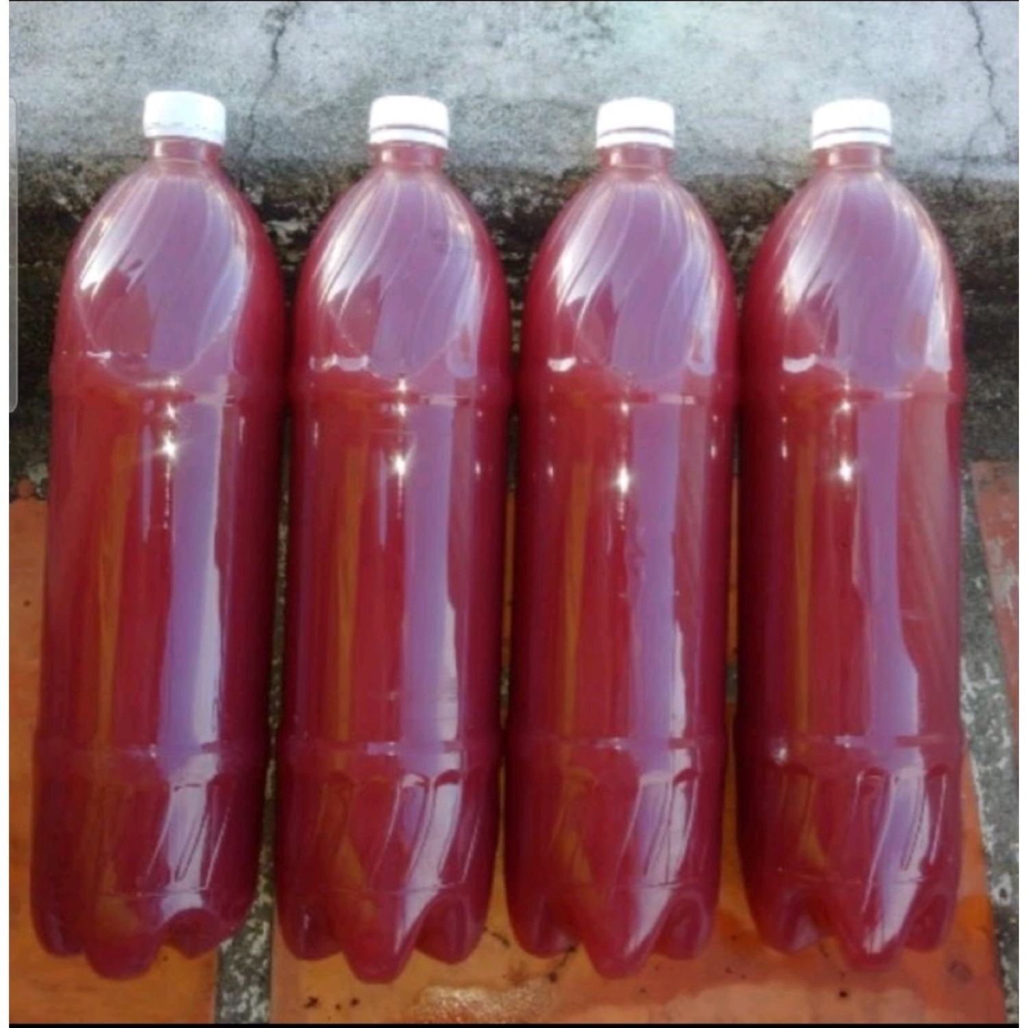 Vi sinh quang hợp PSB