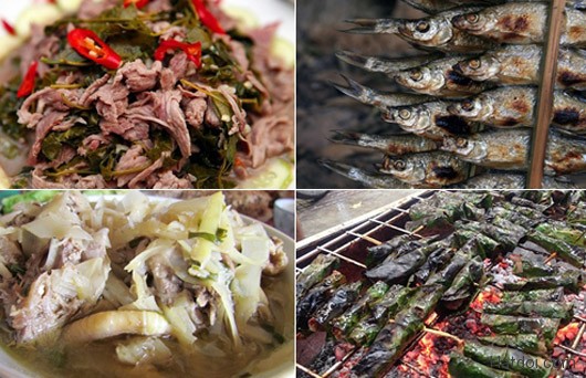 50 hạt dổi nếp ( hạt dổi rừng) gia vị Tây Bắc