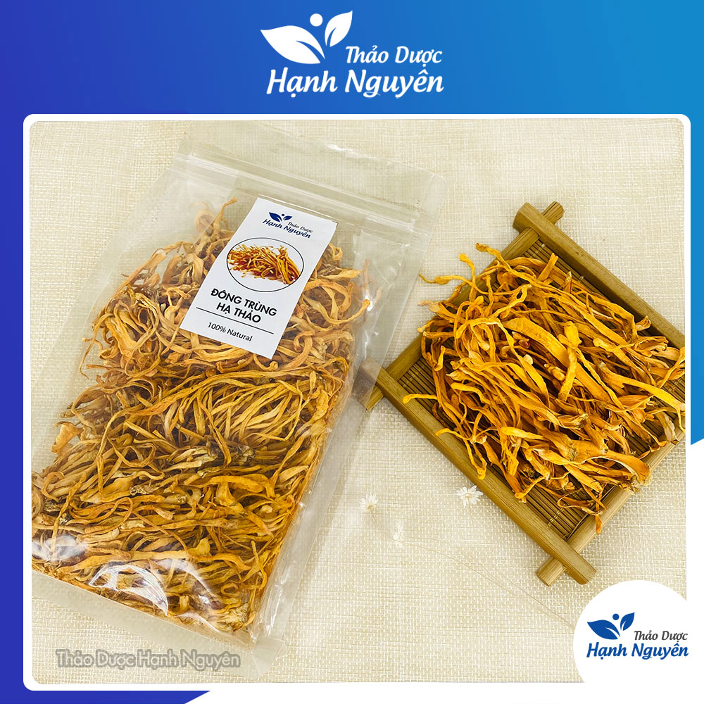 Đông trùng hạ thảo khô 1kg (Hàng loại 1 khô thơm vàng đẹp pha trà thơm ngon) - Thảo Dược Hạnh Nguyên