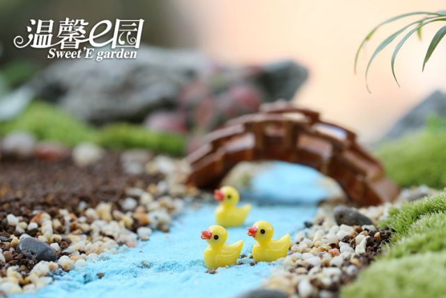 Mô Hình Vịt Nhiều Màu Trang Trí Tiểu Cảnh - Terrarium