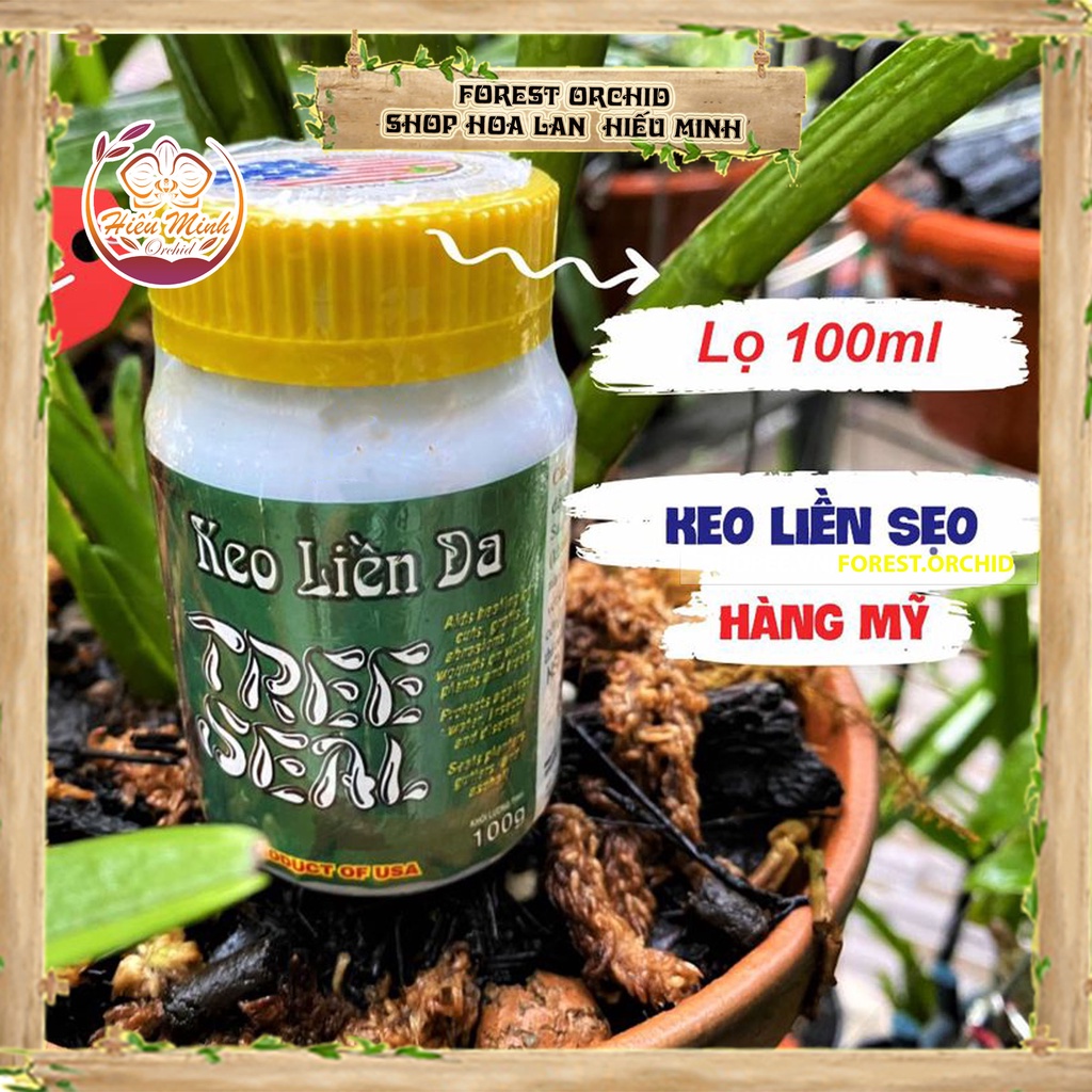 Keo liền sẹo Tree Seal USA Morrisons nhập khẩu