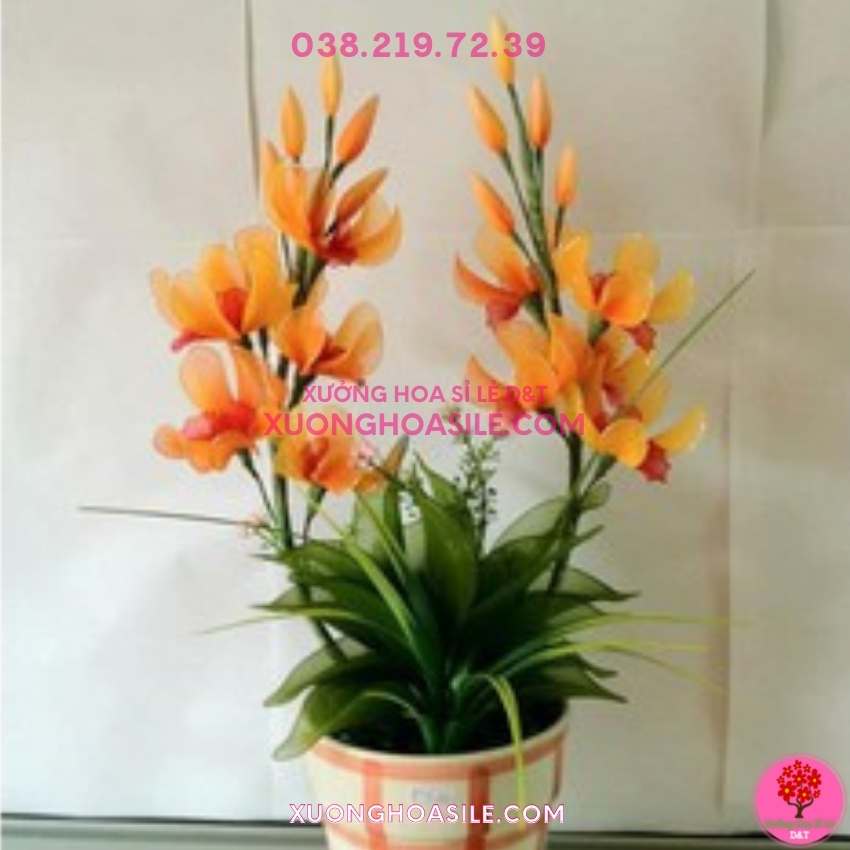 [HCM]NỤ GÒN DÀI
