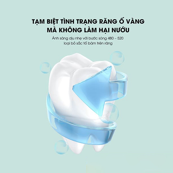 Máy đánh răng chữ U WK WTC01