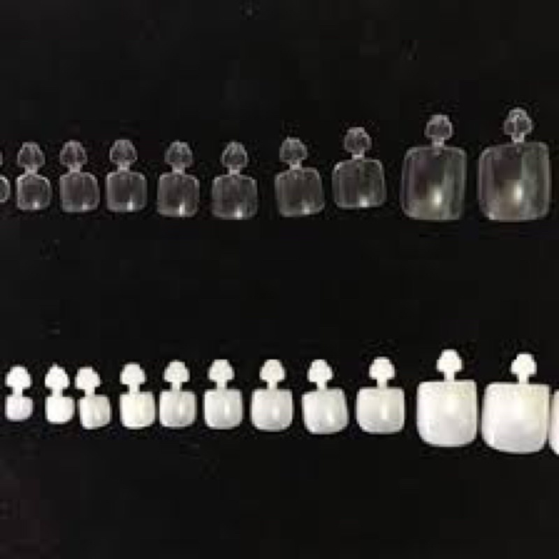Móng úp chân HQ màu đục đủ size(600 móng)