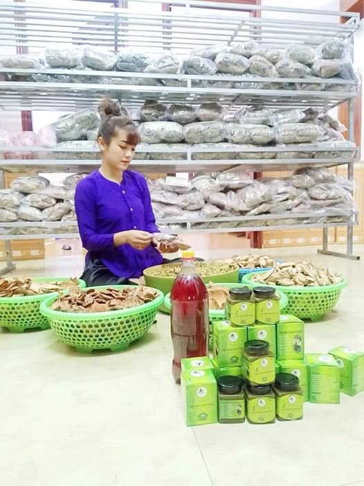 Cao Lá Rừng Tươi