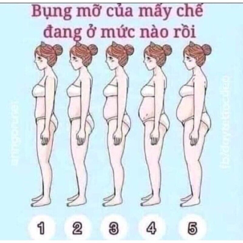 Tkh Cao Đốt Mỡ Tkh