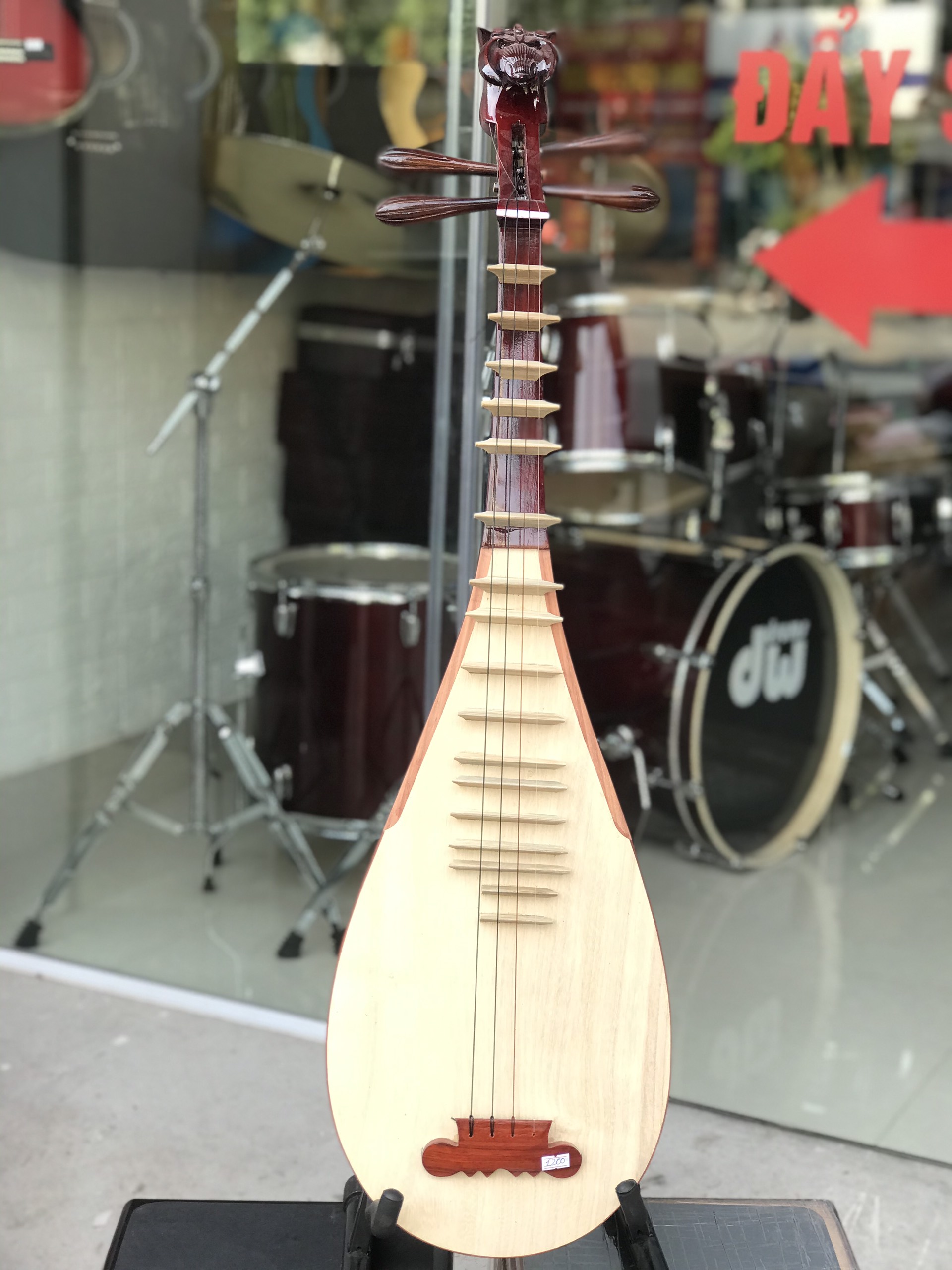 Đàn tỳ bà Việt Nam