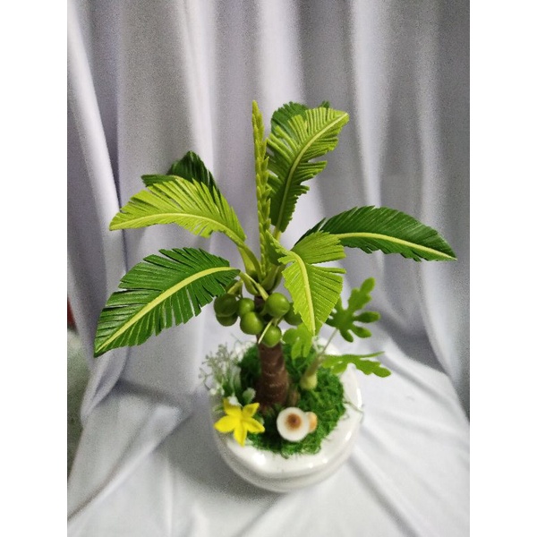 Chậu dừa đất sét cao 35cm
