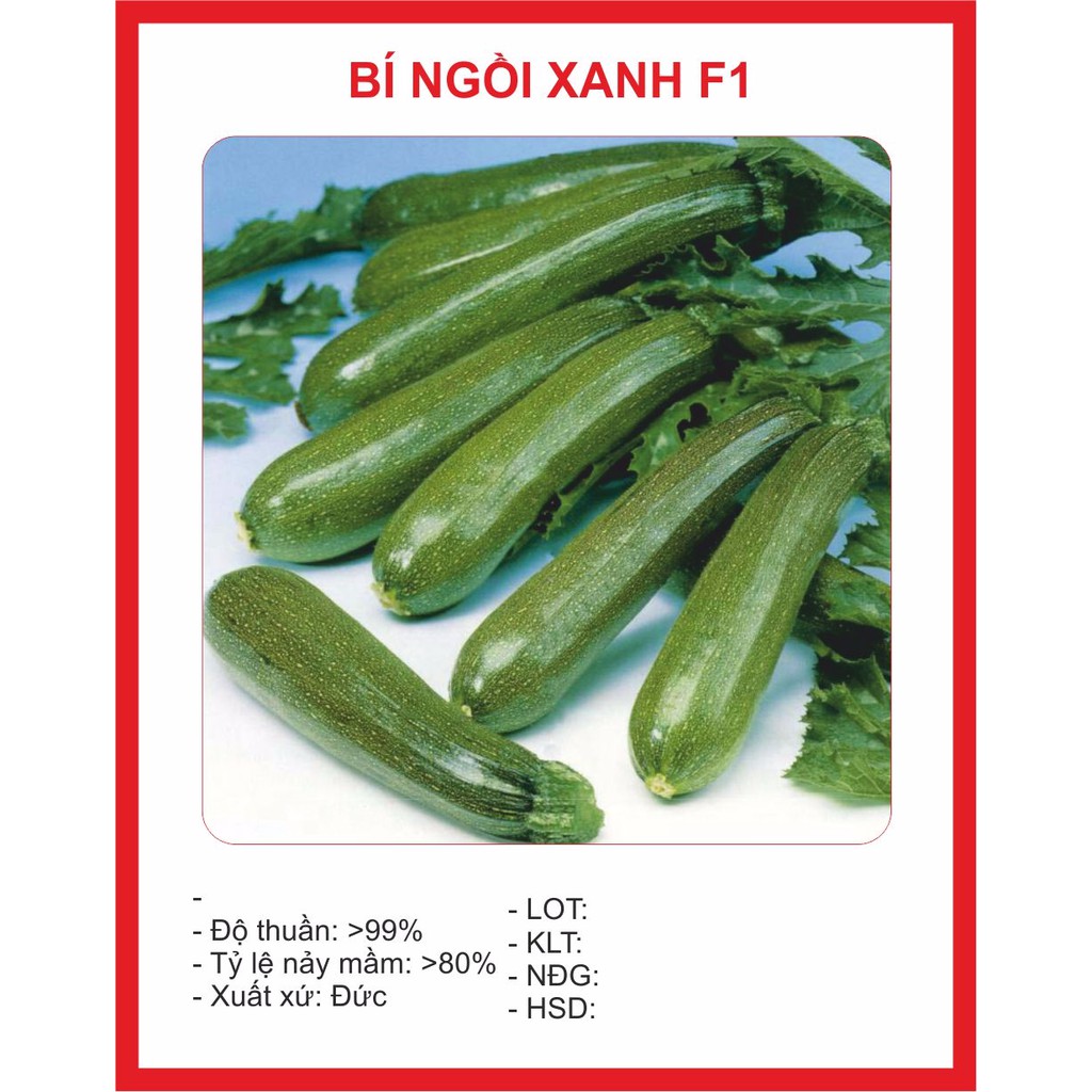 Hạt giống Bí Ngồi Xanh 10 Hạt