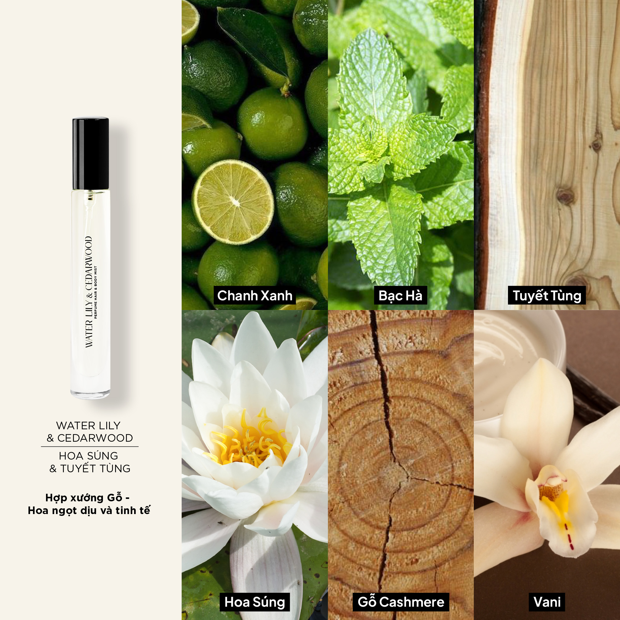 Nước Hoa Body Mist & Tóc SKINLAX ( 10ml )