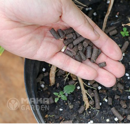 Phân trùn quế SFARM viên nén (1kg)