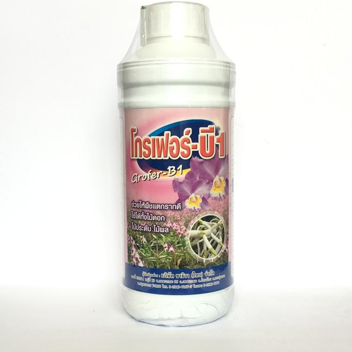 Phân bón kích rễ grofer B1 1 lít