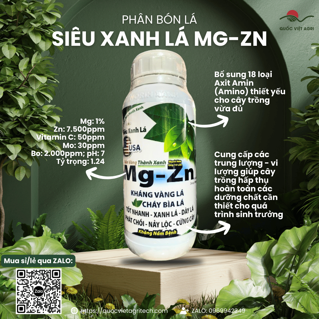 Phân bón lá - siêu xanh lá mg-zn amino+ - tác dụng đa chiều - 500ml