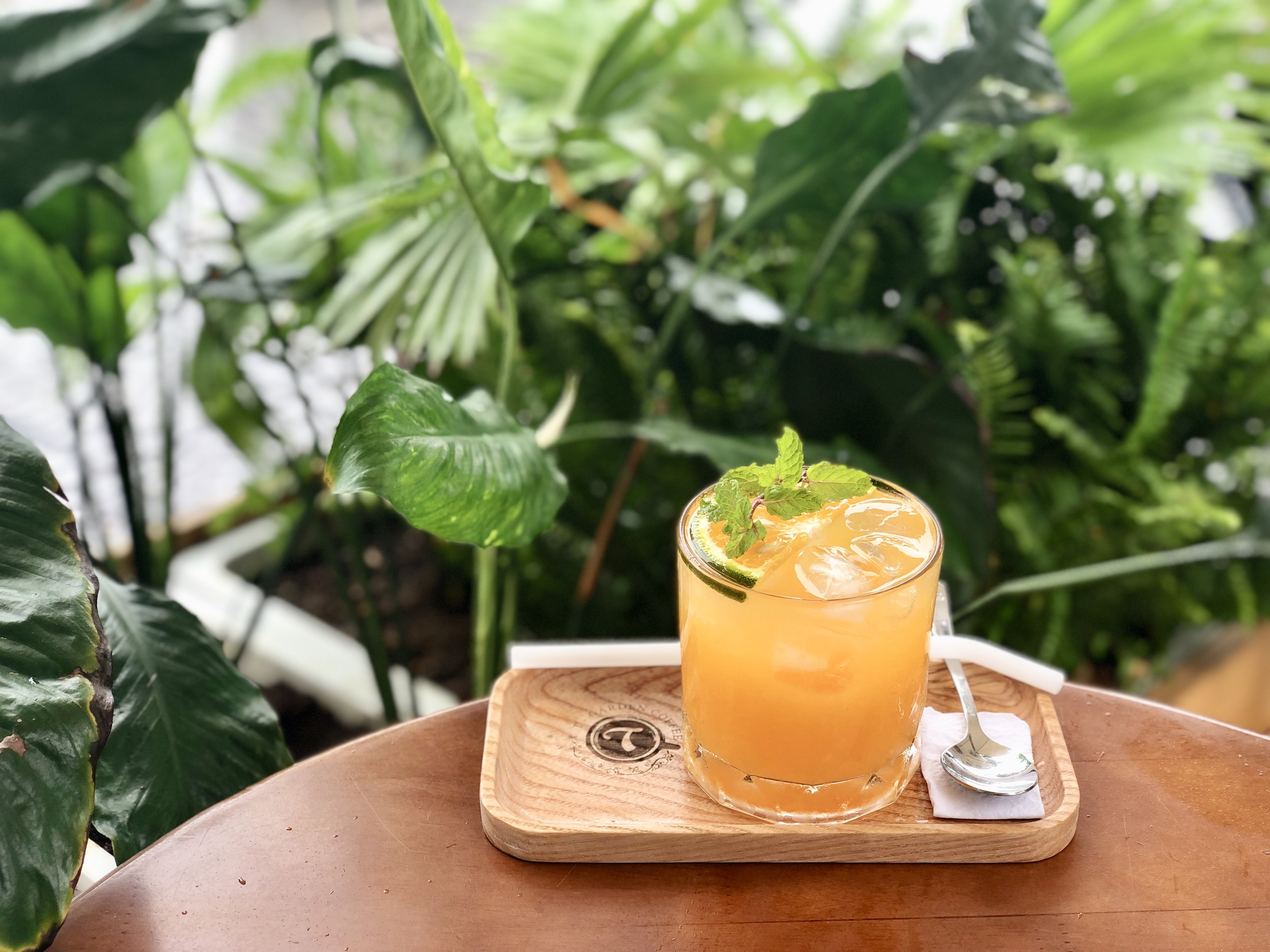 Ống hút thủy tinh trà sữa đủ màu