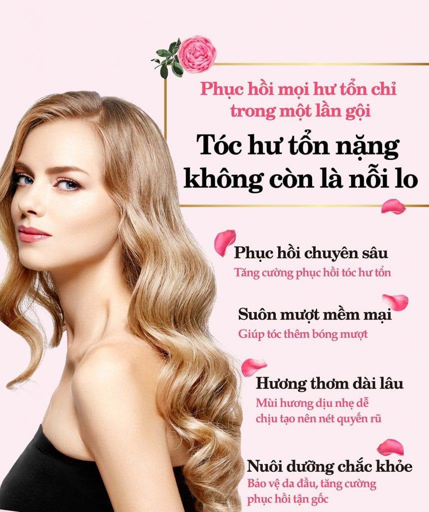 Dầu Gội Phục Hồi Tóc Hư Tổn Parco 400ml