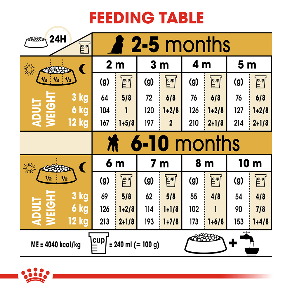 Thức ăn chó con Royal Canin POODLE PUPPY 500gr - [Nông Trại Thú Cưng]