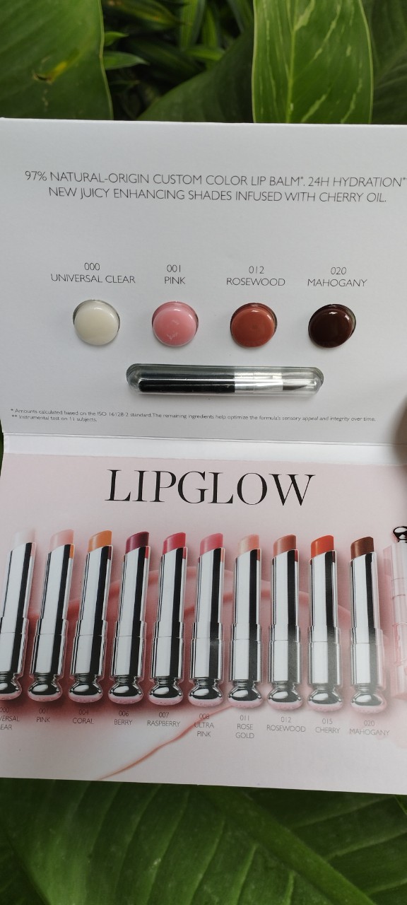 Son dưỡng Di.or Lipglow sample vỉ 4 màu kèm cọ