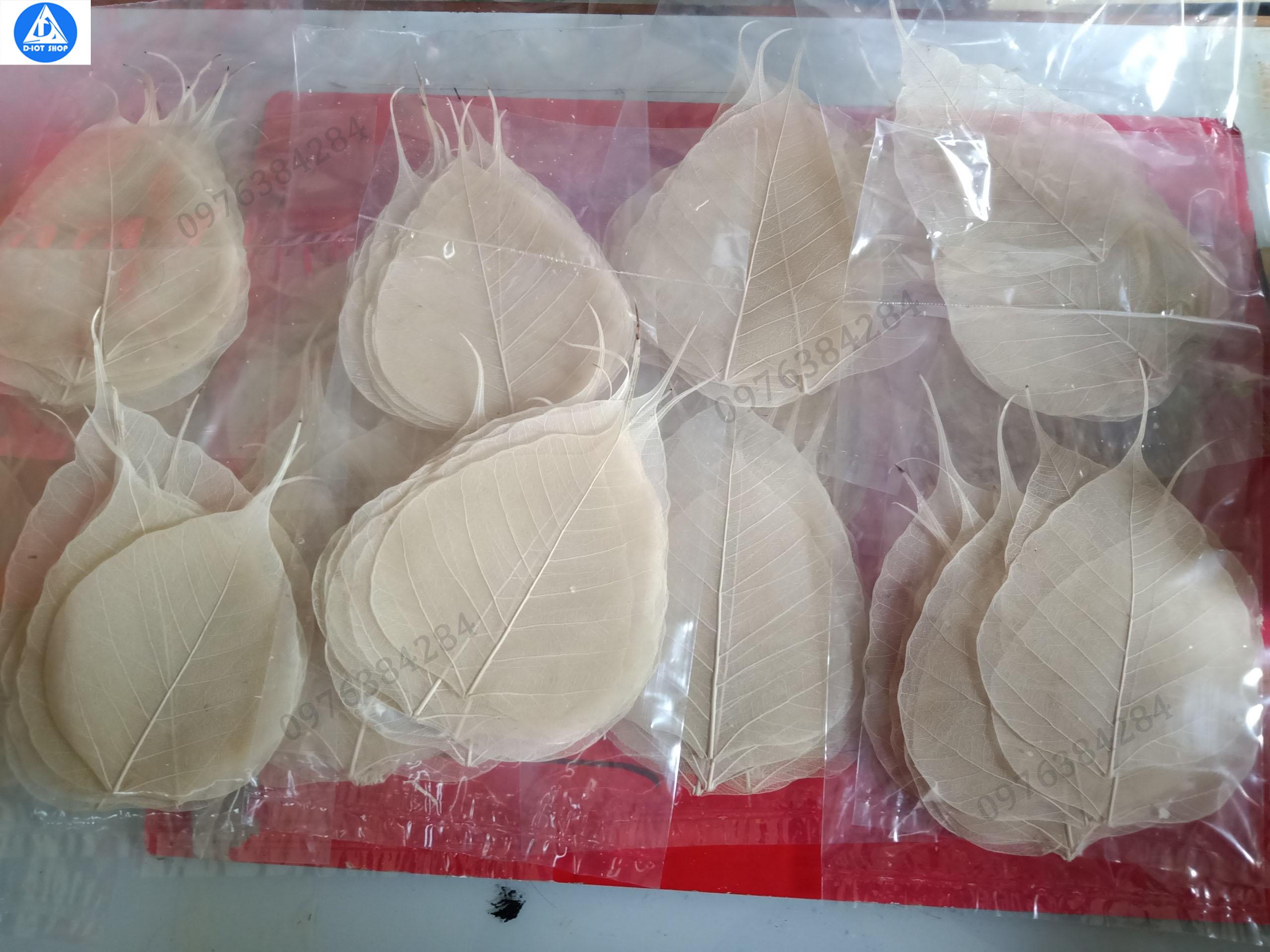 lá bồ đề tự nhiên