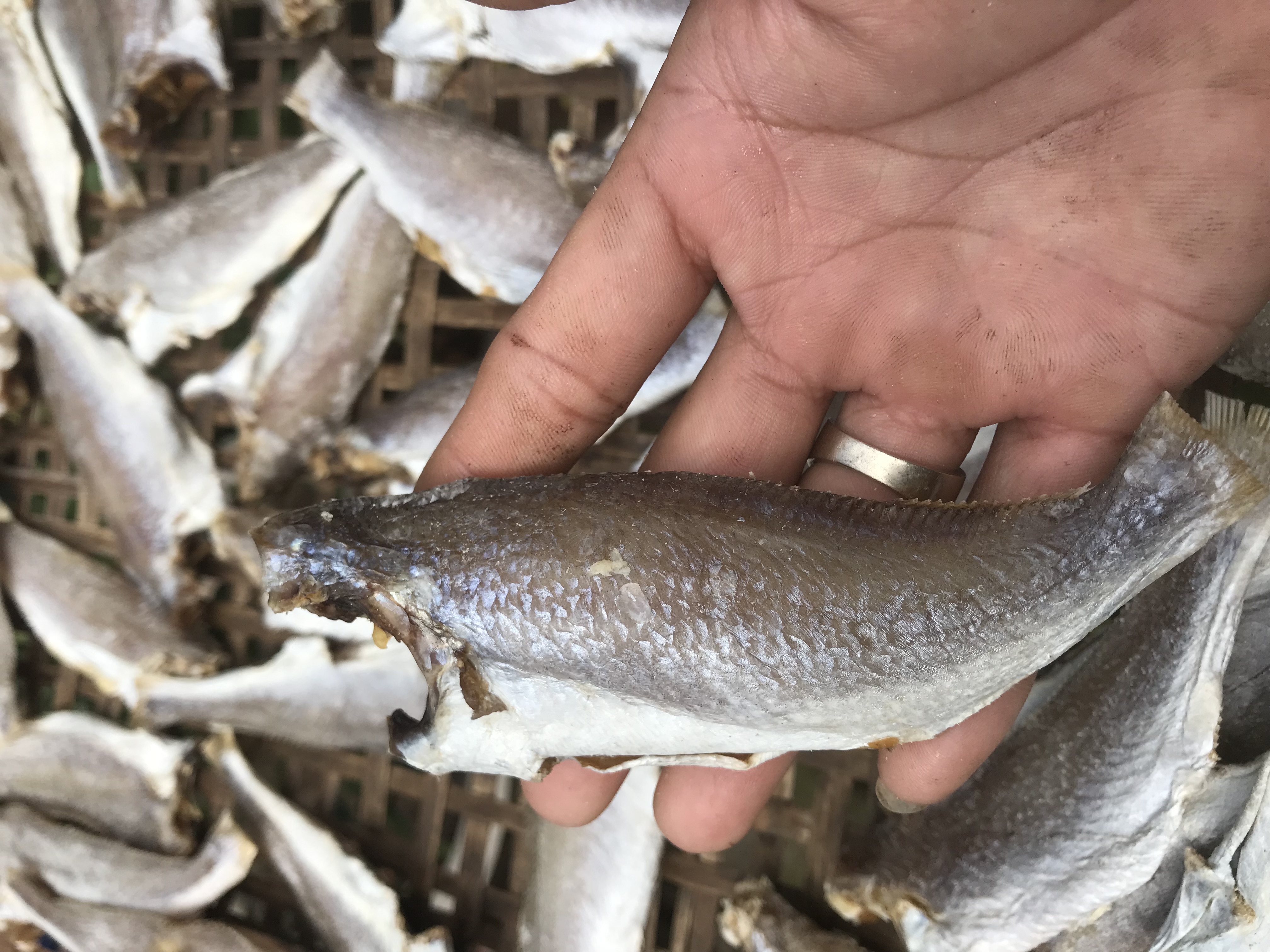 0.5Kg Khô cá lù đù loại vừa ăn