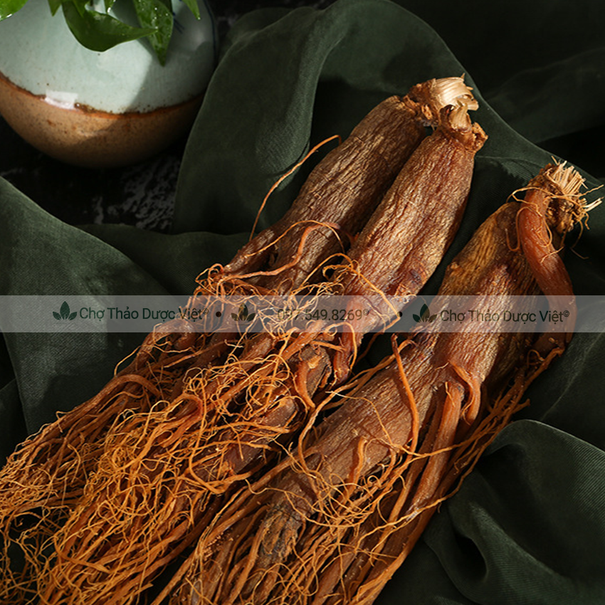 Hồng sâm sấy dẻo 500g ( Nhân sâm củ, sâm râu bồi bổ sức khỏe ) - Chợ Thảo Dược Việt