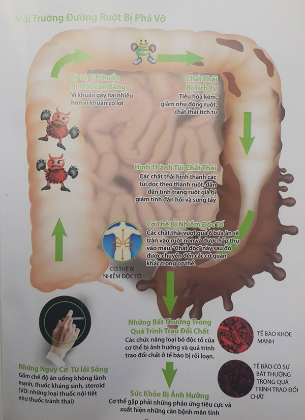 Lactose - S Elken hỗ trợ đường ruột