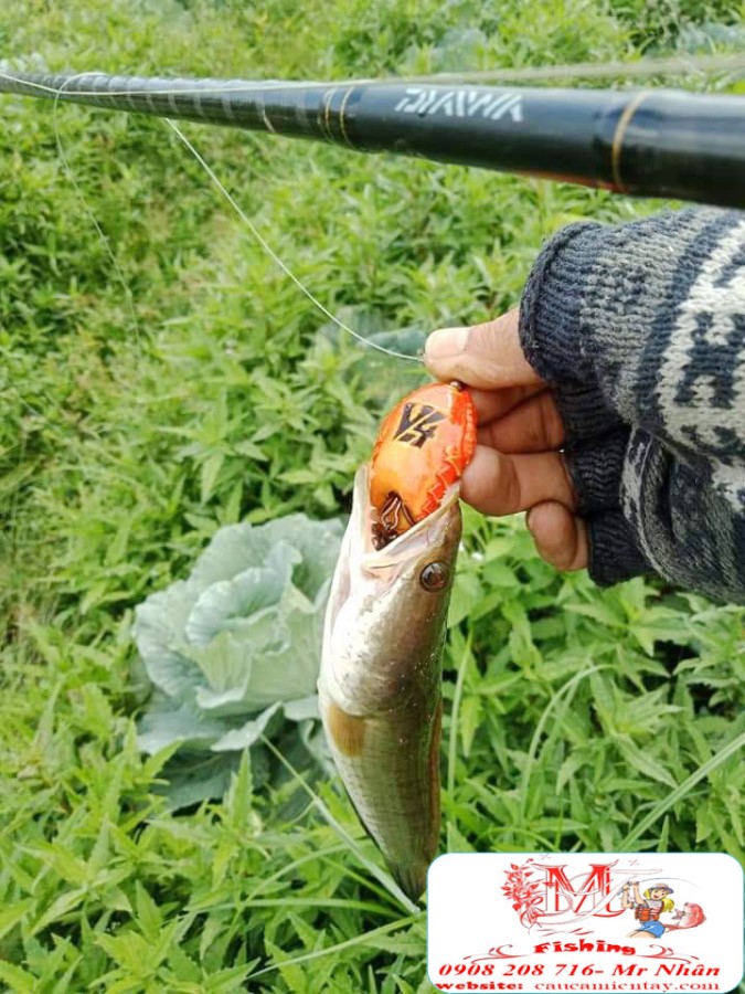 Nháy Hơi Câu Cá Lóc HunTer V4 Thái Lan 2020