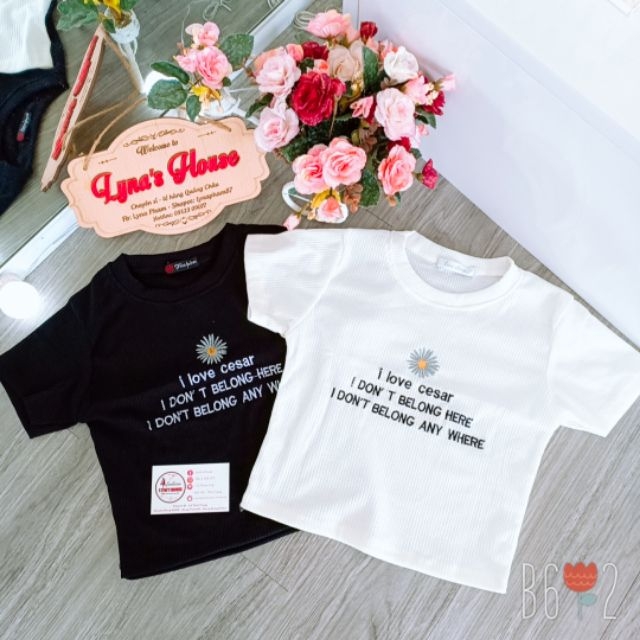 Áo Croptop Thêu Hoa Cúc Cute ANLY42