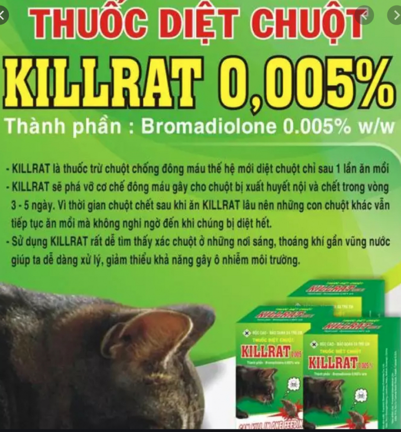 XẢ KHO - Thuốc diệt chuột  KILLRAT đã trộn sẵn ( Bán lẻ 1 gói 40 gram)
