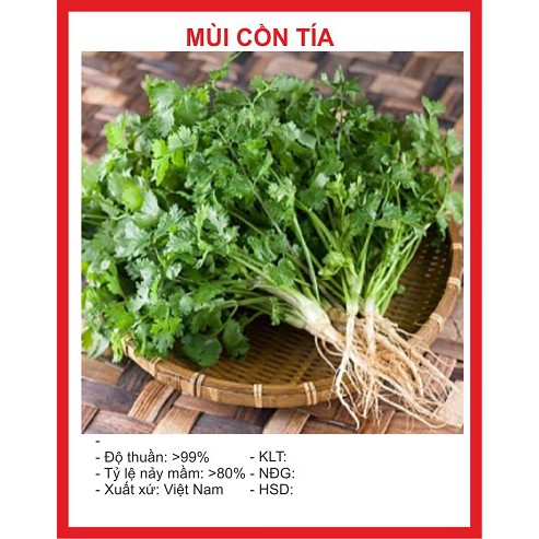 Hạt giống rau mùi ta chịu nhiệt 20grgói