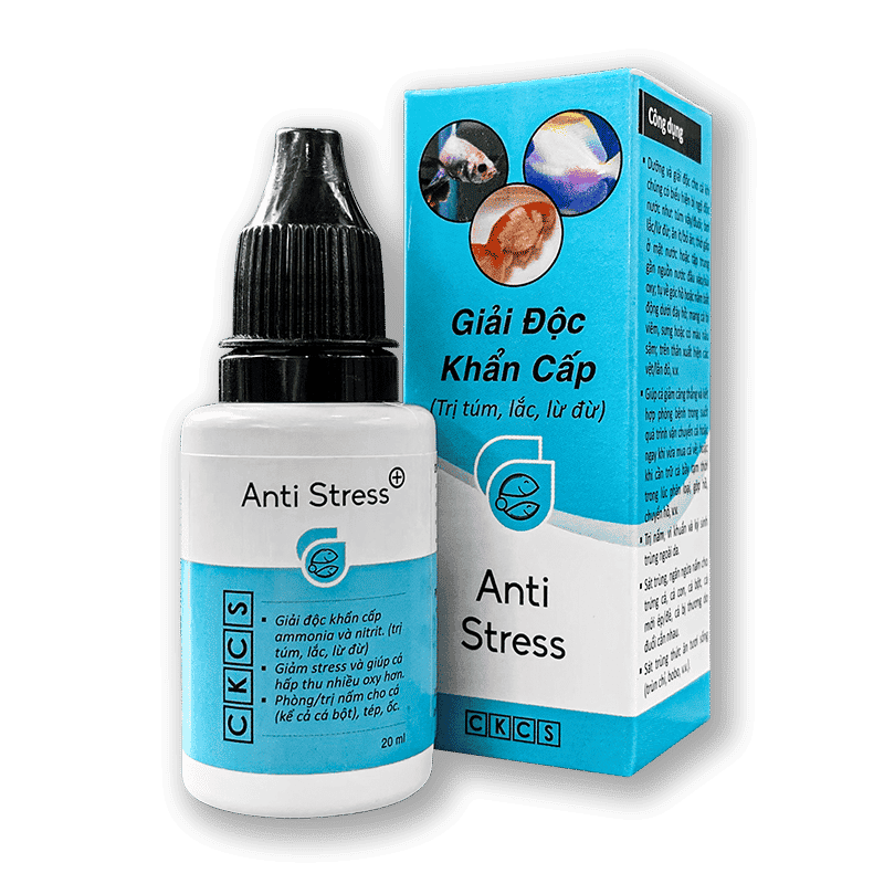 Anti Stress giải độc khẩn cấp (túm, lắc, lừ đừ) - Cá khỏe & cá sung