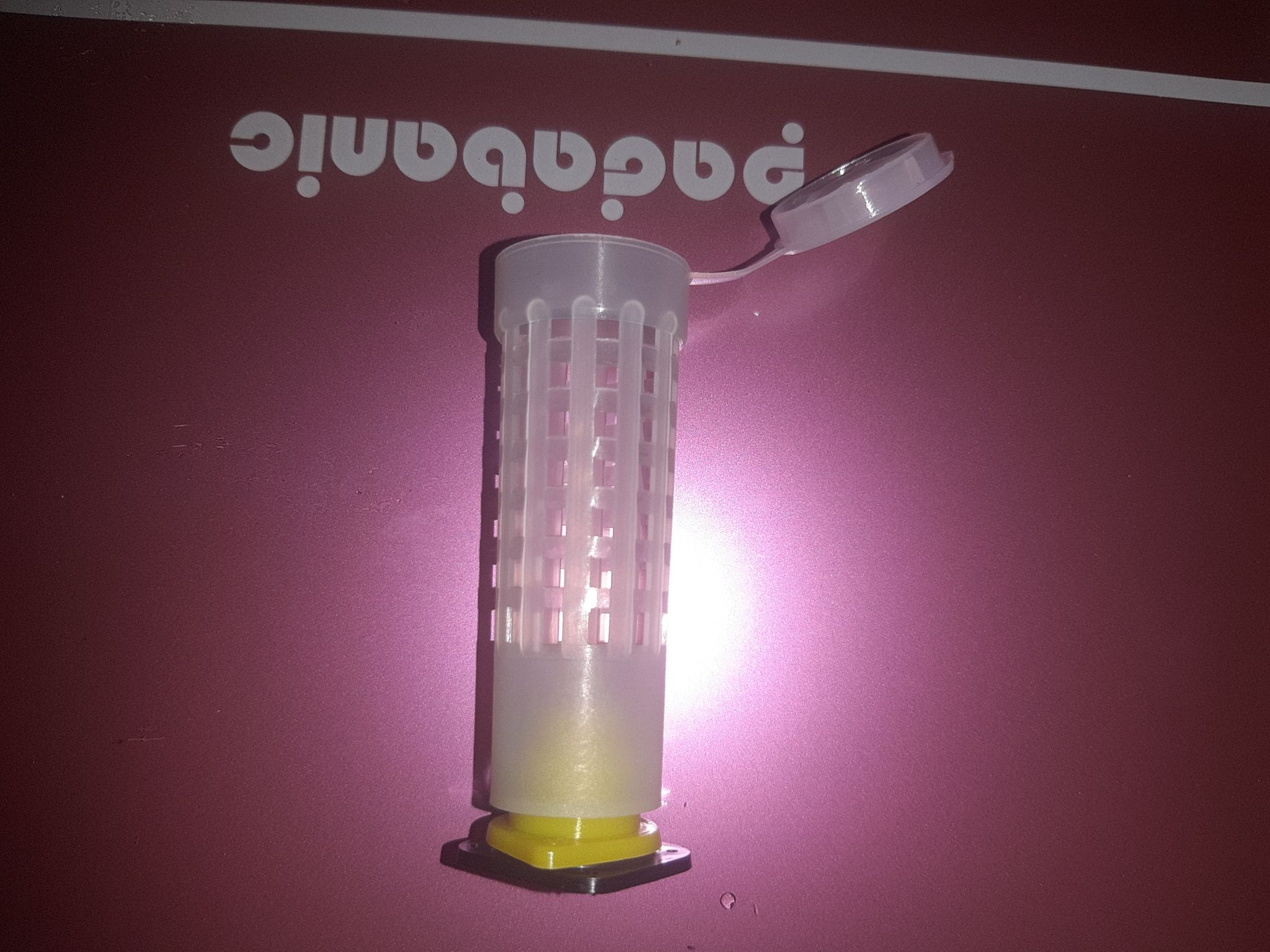 10 lồng nhốt chúa