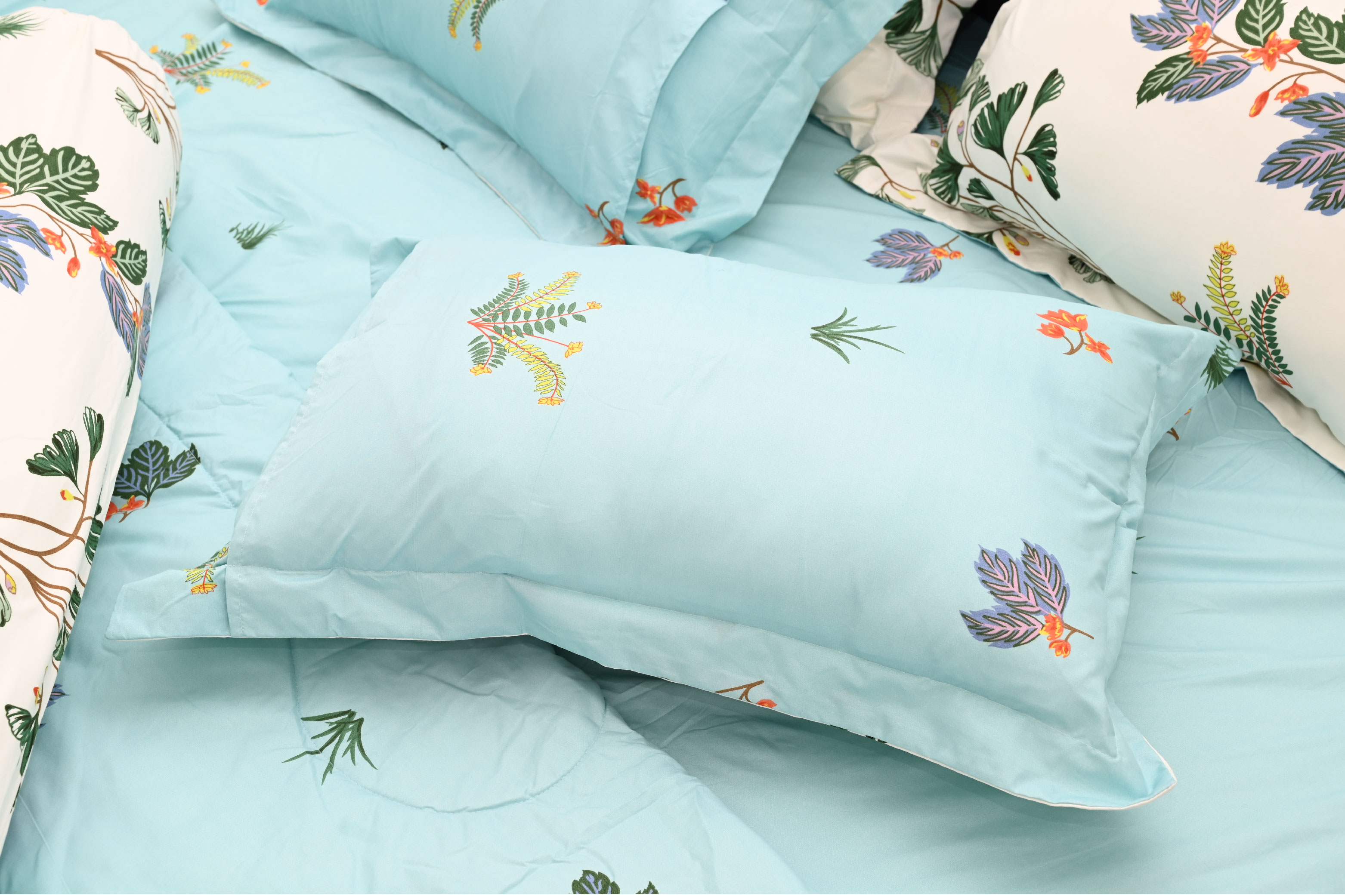 Bộ 5 món drap, áo gối kèm mền Stefani - ST200049 - Bộ chăn ga gối cotton 1m6x2m, 1m8x2m