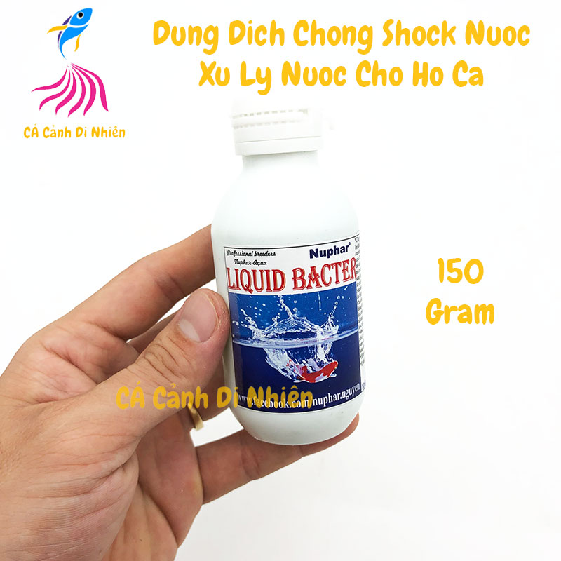 Nuphar Liquid Bacter dung dịch chống sốc xử lý nước cho hồ cá