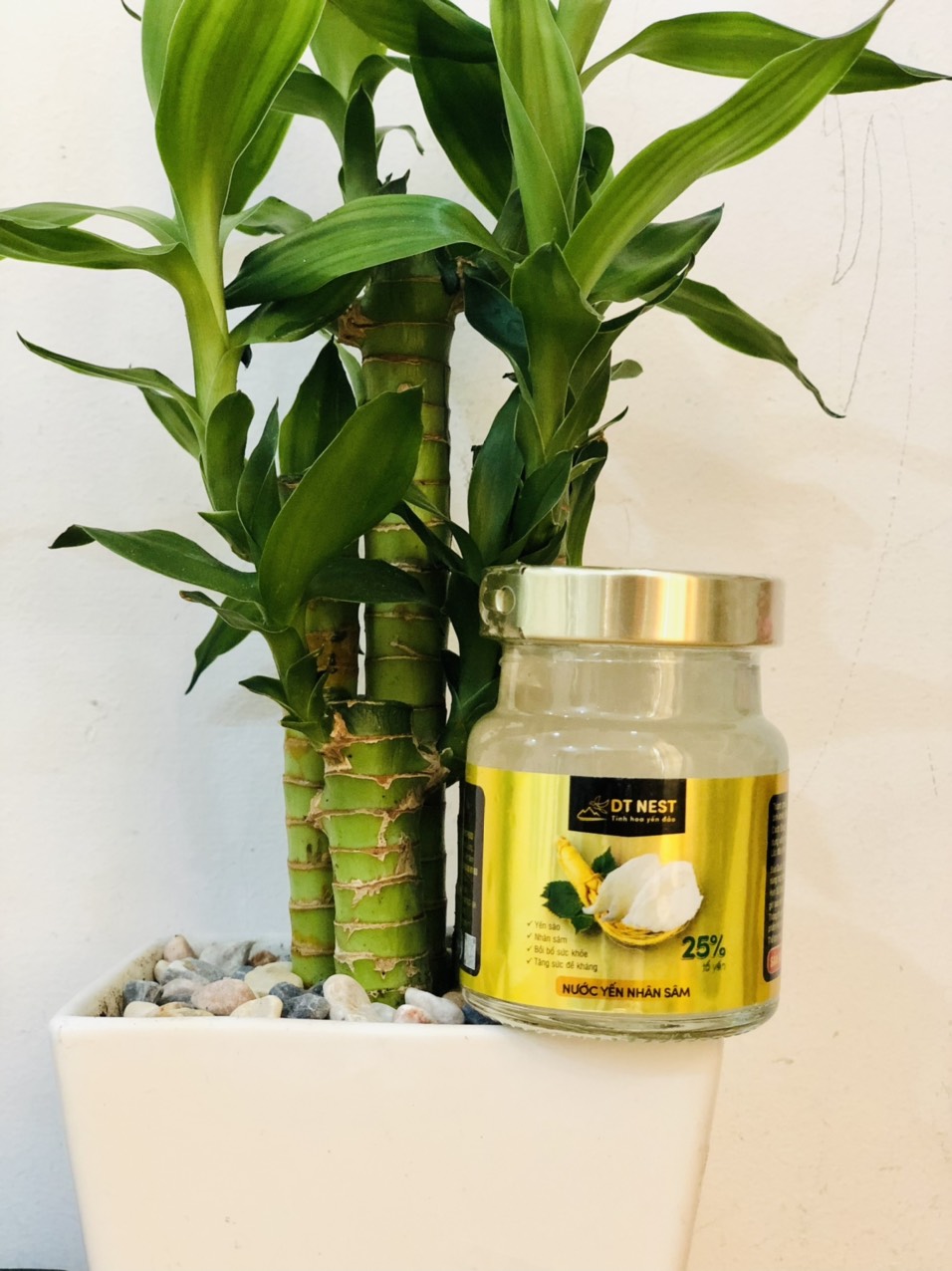 [Combo 6 hủ] Yến chưng sẵn với nhân sâm (25% yến)