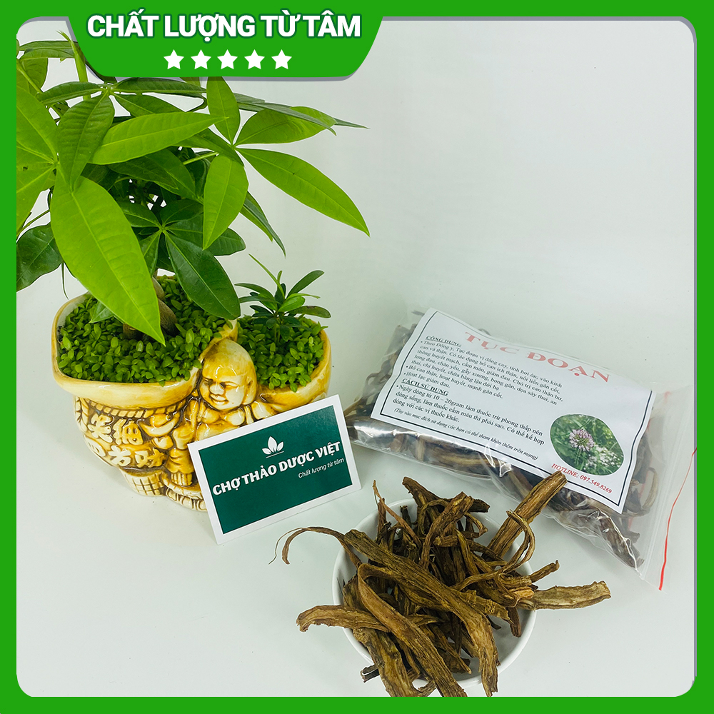 Tục đoạn khô 1kg, hỗ trợ giảm đau xương khớp, bổ can thận, mạnh gân cốt