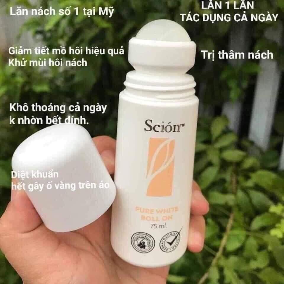 LĂN NÁCH  scion